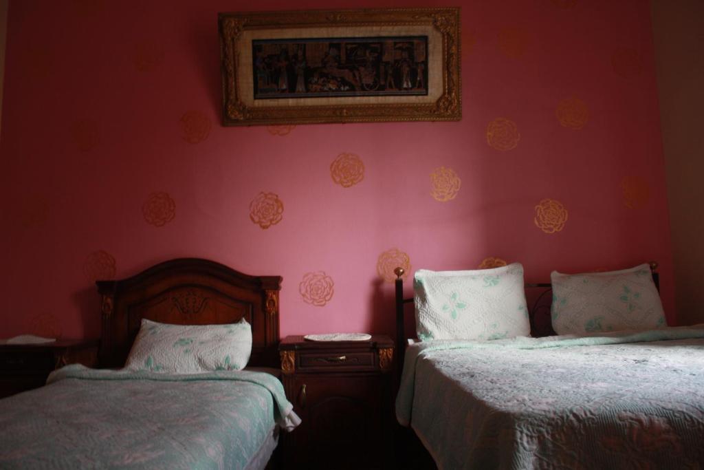 Hola Cairo Hostel 客房 照片
