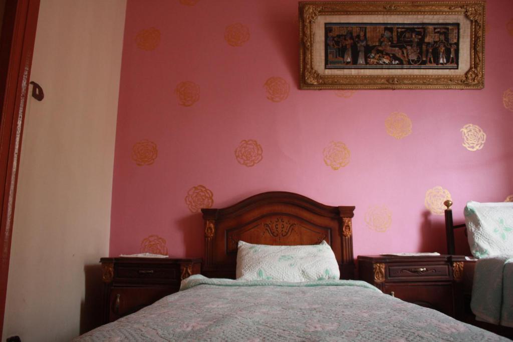 Hola Cairo Hostel 客房 照片