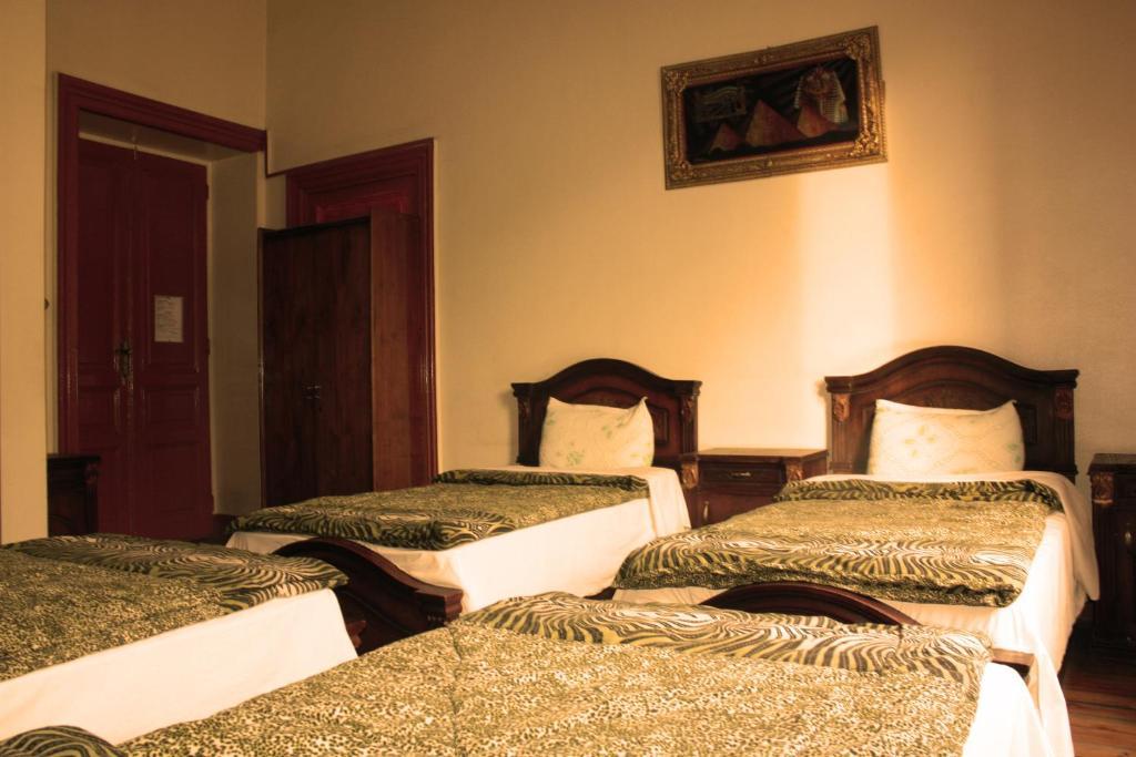 Hola Cairo Hostel 客房 照片