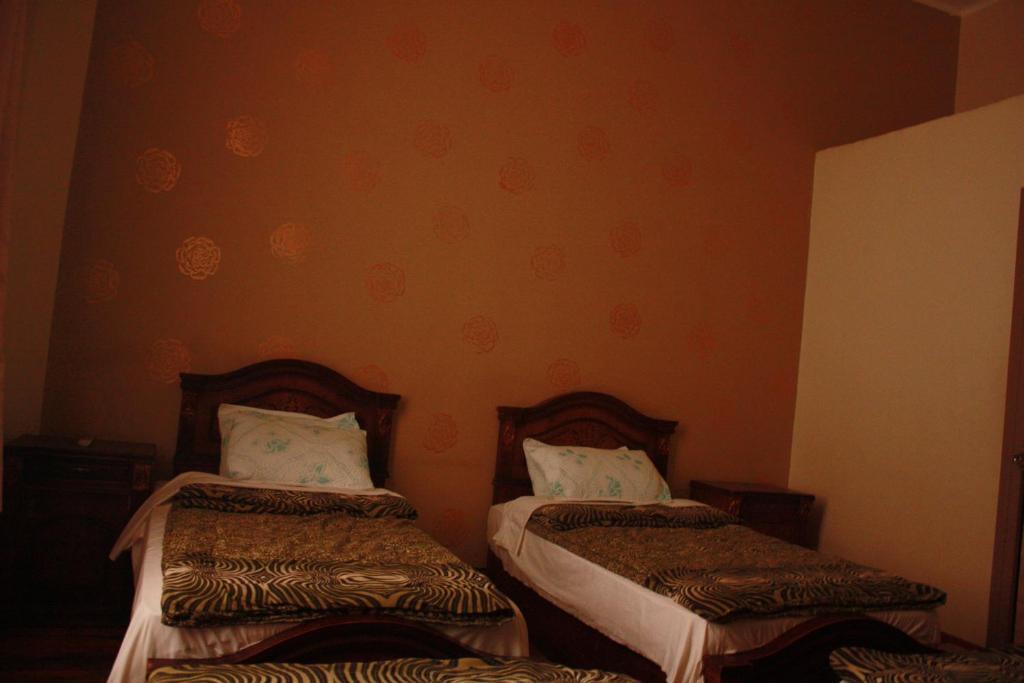 Hola Cairo Hostel 外观 照片